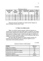 Referāts 'Ieskaites darbs mazajā biznesā', 11.