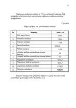 Referāts 'Ieskaites darbs mazajā biznesā', 12.