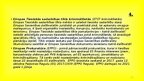 Prezentācija 'Pārrobežu sadarbības vispārīgie noteikumi', 12.