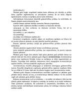 Referāts 'Vienkāršā grāmatvedības uzskaite individuālā komersanta uzņēmumā', 7.