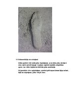 Konspekts 'Fiziskās attīstības noteikšana', 6.