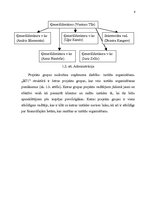 Prakses atskaite 'Prakses atskaite SIA "BT1"', 8.