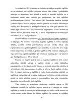 Referāts 'Jauniešu attieksme pret augstāko izglītību', 19.