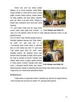 Referāts 'Virgas pagasta unikālākie objekti un vietas', 14.