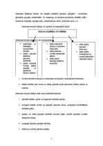 Referāts 'Betijas Ņūmenas māszinību teorija', 3.