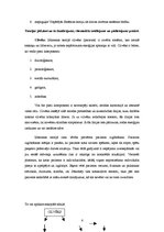 Referāts 'Betijas Ņūmenas māszinību teorija', 4.