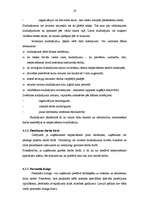 Referāts 'Personāla plānošana, piesaiste un atlase organizācijās', 19.