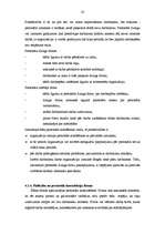 Referāts 'Personāla plānošana, piesaiste un atlase organizācijās', 20.