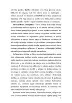 Referāts 'Nervu sistēma', 2.