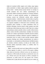 Referāts 'Nervu sistēma', 6.