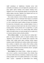 Referāts 'Nervu sistēma', 7.