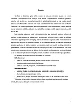 Referāts 'Saskarsmi ietekmējošie faktori', 3.