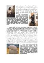 Referāts 'Recenzija par izstādi, kas veltīta Latvijas Valsts muzeja simtgadei - „Muzeja la', 3.