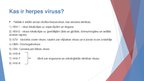Prezentācija 'Herpes vīrusa mikrobioloģiskais raksturojums, vīrusa infekcijas izpausemes uz ād', 3.