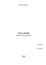 Referāts 'Tūrisms Jēkabpilī', 1.