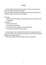 Referāts 'Tūrisms Jēkabpilī', 5.