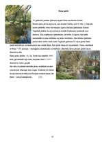 Referāts 'Tūrisms Jēkabpilī', 19.