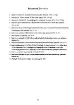 Referāts 'Tūrisms Jēkabpilī', 23.