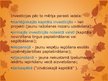 Prezentācija 'Investīcijas', 5.