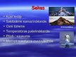 Prezentācija 'Siltumnīcas efekts', 9.