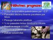 Prezentācija 'Siltumnīcas efekts', 11.