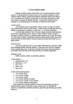 Referāts 'Microsoft Power Point prezentāciju izmantošana mācību stundās', 5.