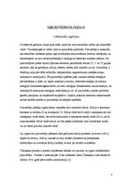 Referāts 'Mikro un nanotehnoloģijas', 4.