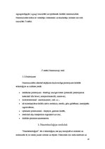 Referāts 'Mikro un nanotehnoloģijas', 18.