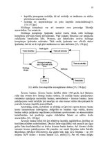 Diplomdarbs 'Ārzonu darbības analīze un to ietekme uz nodokļu administrēšanu', 23.