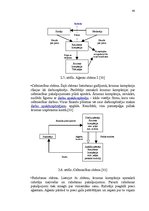 Diplomdarbs 'Ārzonu darbības analīze un to ietekme uz nodokļu administrēšanu', 40.