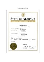 Diplomdarbs 'Ārzonu darbības analīze un to ietekme uz nodokļu administrēšanu', 69.