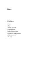 Referāts 'Čehija', 3.