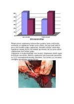 Prakses atskaite 'Prakses atskaite studiju kursā "Mārketings"', 4.