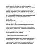 Konspekts 'Didaktikas attīstības tendences', 17.