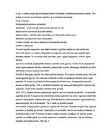 Konspekts 'Didaktikas attīstības tendences', 24.