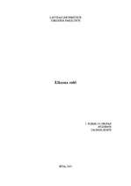 Referāts 'Likuma robs', 1.