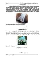 Referāts 'Bari', 6.