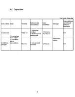 Referāts 'Risku analīze uzņēmumā "TELE2"', 19.