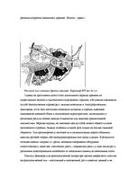 Konspekts 'Pасовые различия', 3.