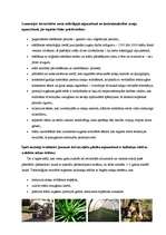 Referāts 'Meža atjaunošana', 3.