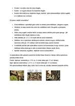 Referāts 'Meža atjaunošana', 5.