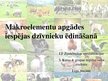 Prezentācija 'Makroelementu apgādes iespējas dzīvnieku ēdināšanā', 1.