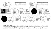 Paraugs 'Ciltskoku pētīšana', 2.