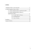 Referāts 'Latvijas maksājumu bilances analīze', 2.