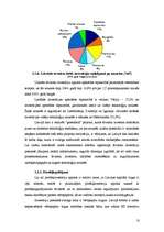 Referāts 'Latvijas maksājumu bilances analīze', 10.