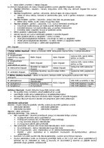 Konspekts 'Anatomija. Iekšējie orgāni', 3.