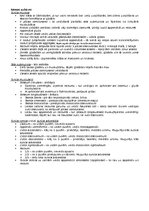 Konspekts 'Anatomija. Iekšējie orgāni', 11.