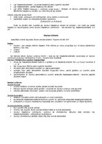 Konspekts 'Anatomija. Iekšējie orgāni', 15.