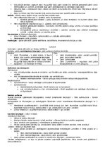 Konspekts 'Anatomija. Iekšējie orgāni', 25.