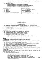 Konspekts 'Anatomija. Iekšējie orgāni', 29.